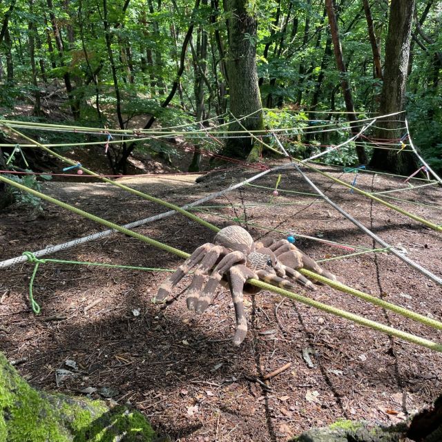 Ein Seilkonstruktion im Wald mit einer großen Kunstspinne